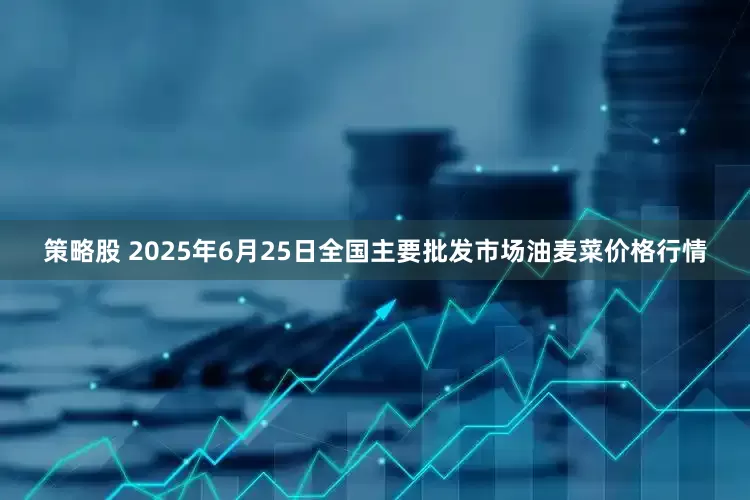 策略股 2025年6月25日全国主要批发市场油麦菜价格行情