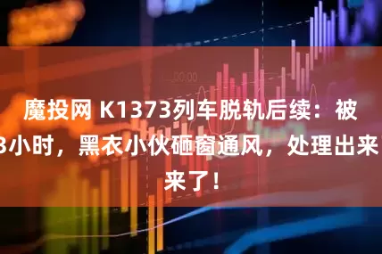 魔投网 K1373列车脱轨后续：被困3小时，黑衣小伙砸窗通风，处理出来了！