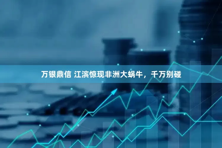 万银鼎信 江滨惊现非洲大蜗牛，千万别碰