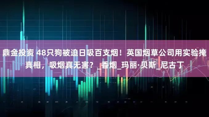 鼎金投资 48只狗被迫日吸百支烟！英国烟草公司用实验掩真相，吸烟真无害？_香烟_玛丽·贝斯_尼古丁