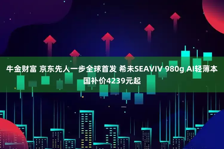 牛金财富 京东先人一步全球首发 希未SEAVIV 980g AI轻薄本国补价4239元起
