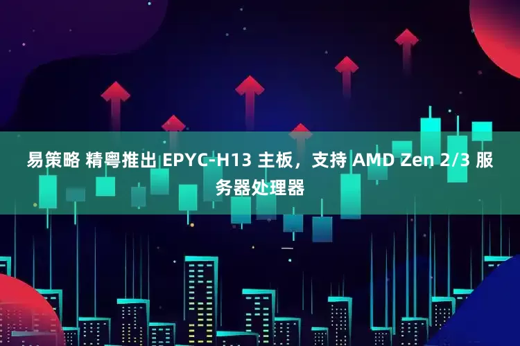 易策略 精粤推出 EPYC-H13 主板，支持 AMD Zen 2/3 服务器处理器