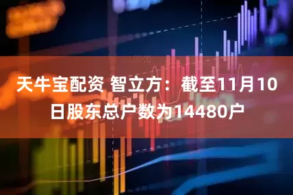 天牛宝配资 智立方：截至11月10日股东总户数为14480户