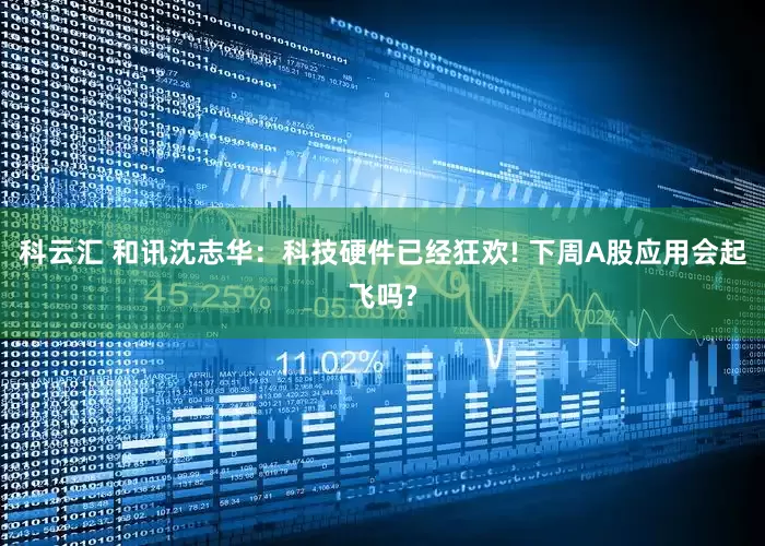 科云汇 和讯沈志华：科技硬件已经狂欢! 下周A股应用会起飞吗?